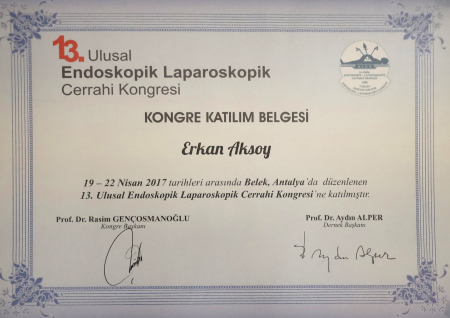 13. Ulusal Endoskopik Laparoskopik Cerrahi Kongresi KATILIM BELGESİ