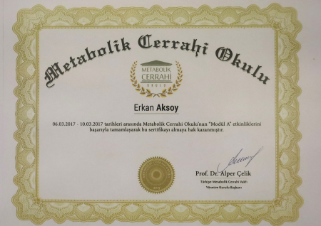 METABOLİK CERRAHİ OKULU